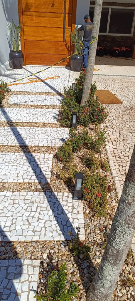 Limpeza de Pedra Portuguesa